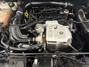 Thumbnail 13