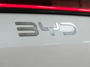 Thumbnail 25