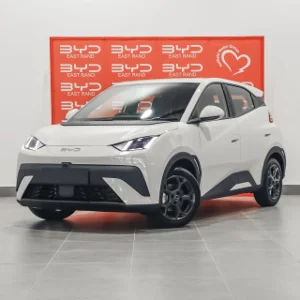 New 2025 BYD Dolphin Surf Dynamic