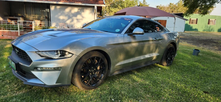 Used 2020 Ford Mustang 2.3T fastback auto - Private Seller Used 2020 Ford Mustang 2.3T fastback auto - Private Seller