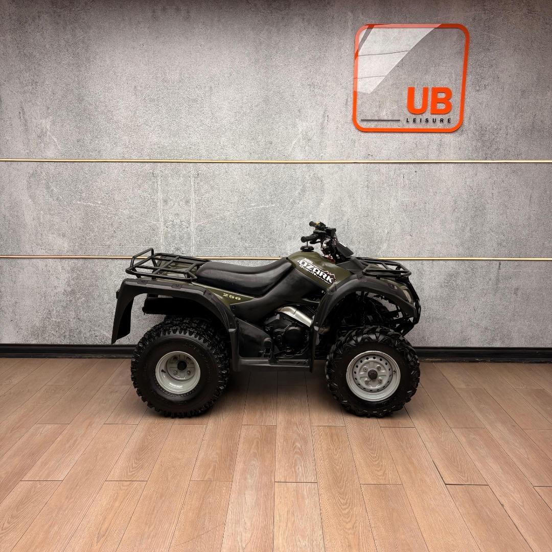 Used 2018 Suzuki OZARK 250