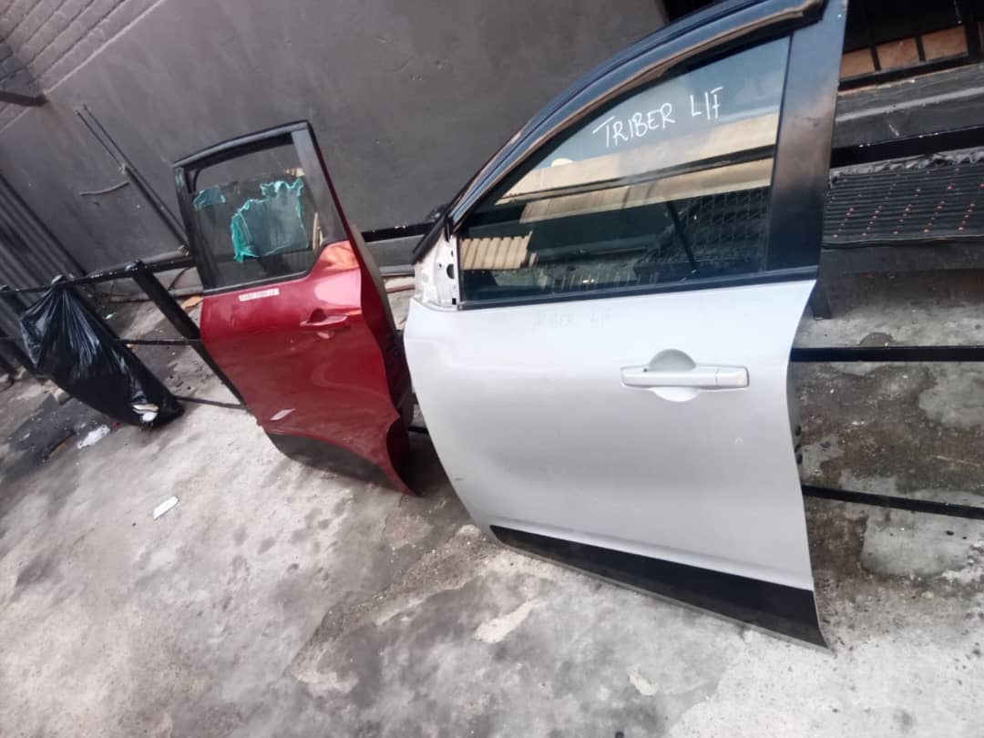 Renault triber door