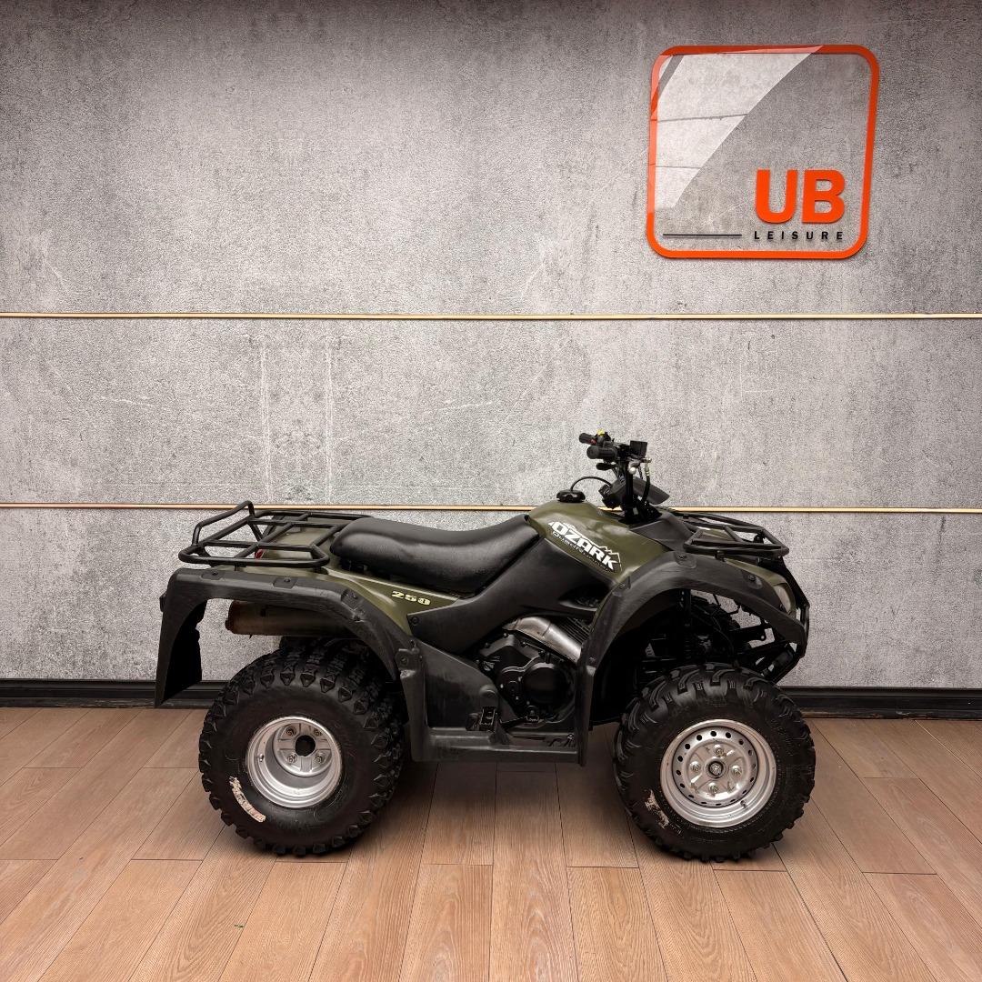 Used 2013 Suzuki OZARK 250