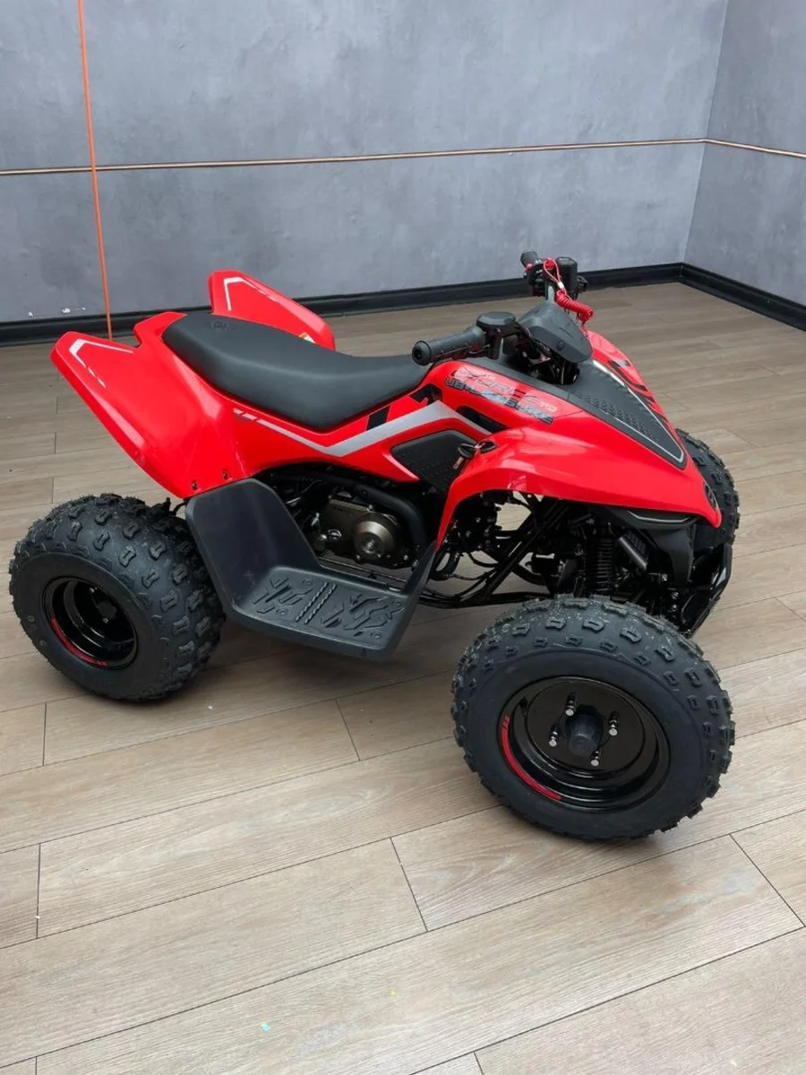 New 2025 CFMOTO C FORCE 110 - UB Leisure New 2025 CFMOTO C FORCE 110 - UB Leisure