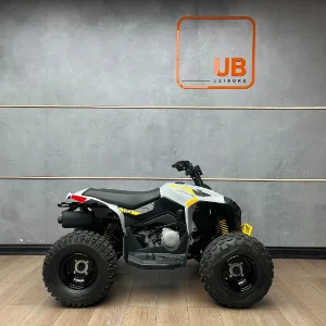 New 2025 Can-Am RENEGADE STANDARD 110