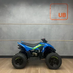 New 2025 CFMOTO C FORCE 110