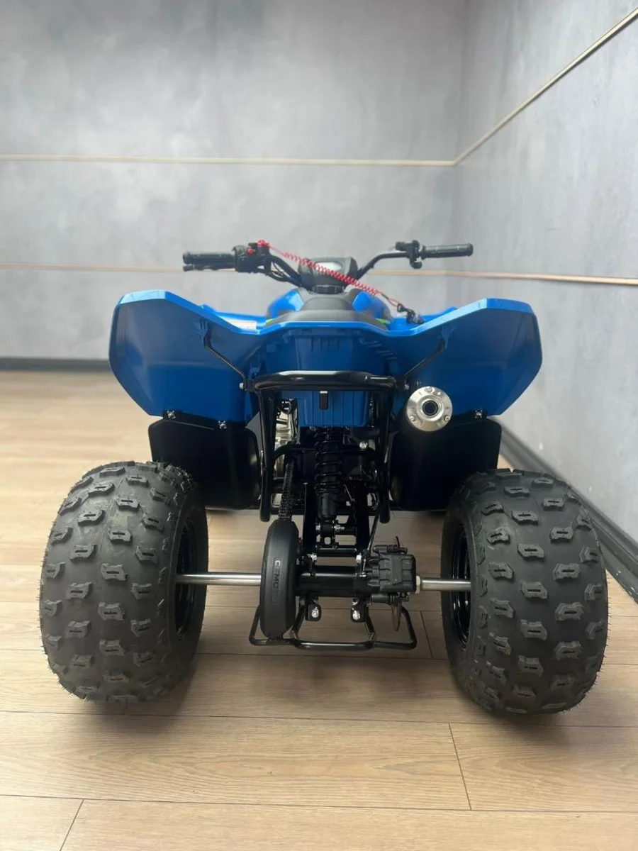 New 2025 CFMOTO C FORCE 110 - UB Leisure New 2025 CFMOTO C FORCE 110 - UB Leisure