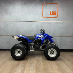 Used 2006 Yamaha BLASTER 200