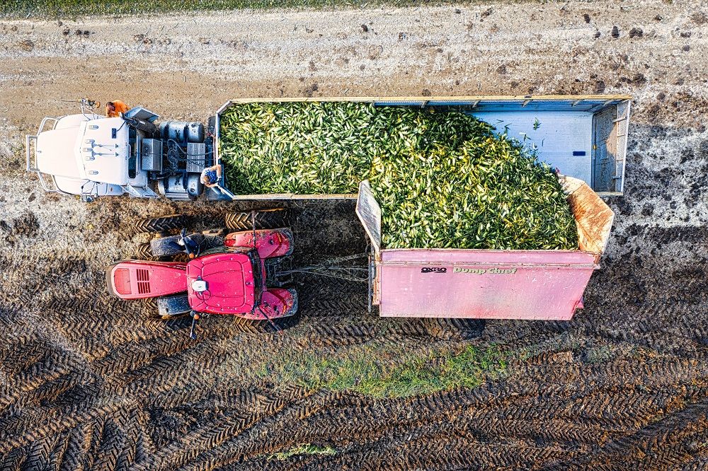 Agricultural Trailers, trailers at AgriMag, farm trailers, farm machinery, Photo by Tom Fisk on Pexels.jpg