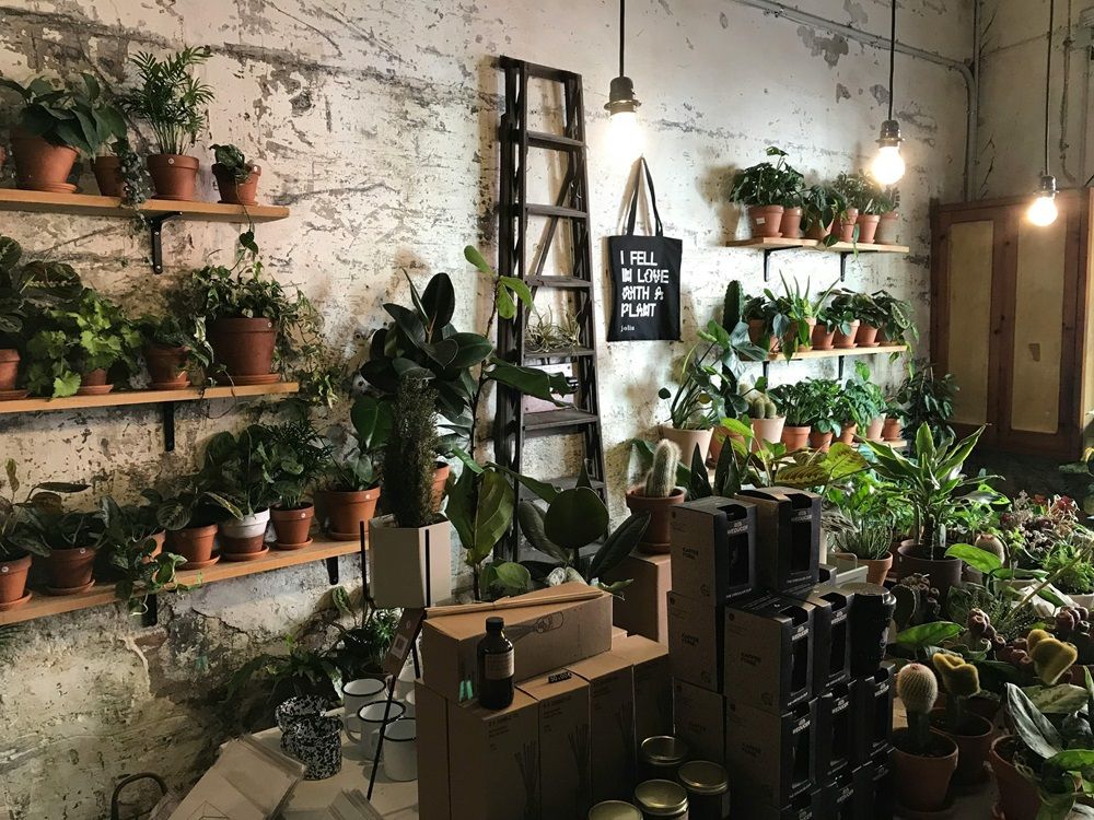 DIY shelving units, shelving units, shelves, DIY tools on Junk Mail, Photo by Oleksandr S on Pexels.jpg