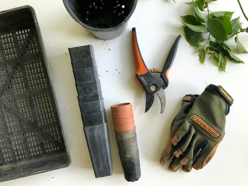 Garden, Gardening, Landscaping, Landscaping tips, Junk Mail