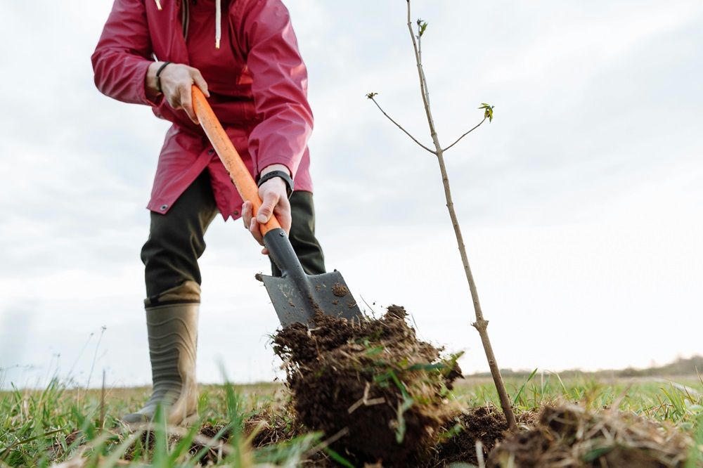Implementing regenerative farming practices, regenerative farming practices, regenerative farming, soil health, Photo by Thirdman on Pexels.jpg