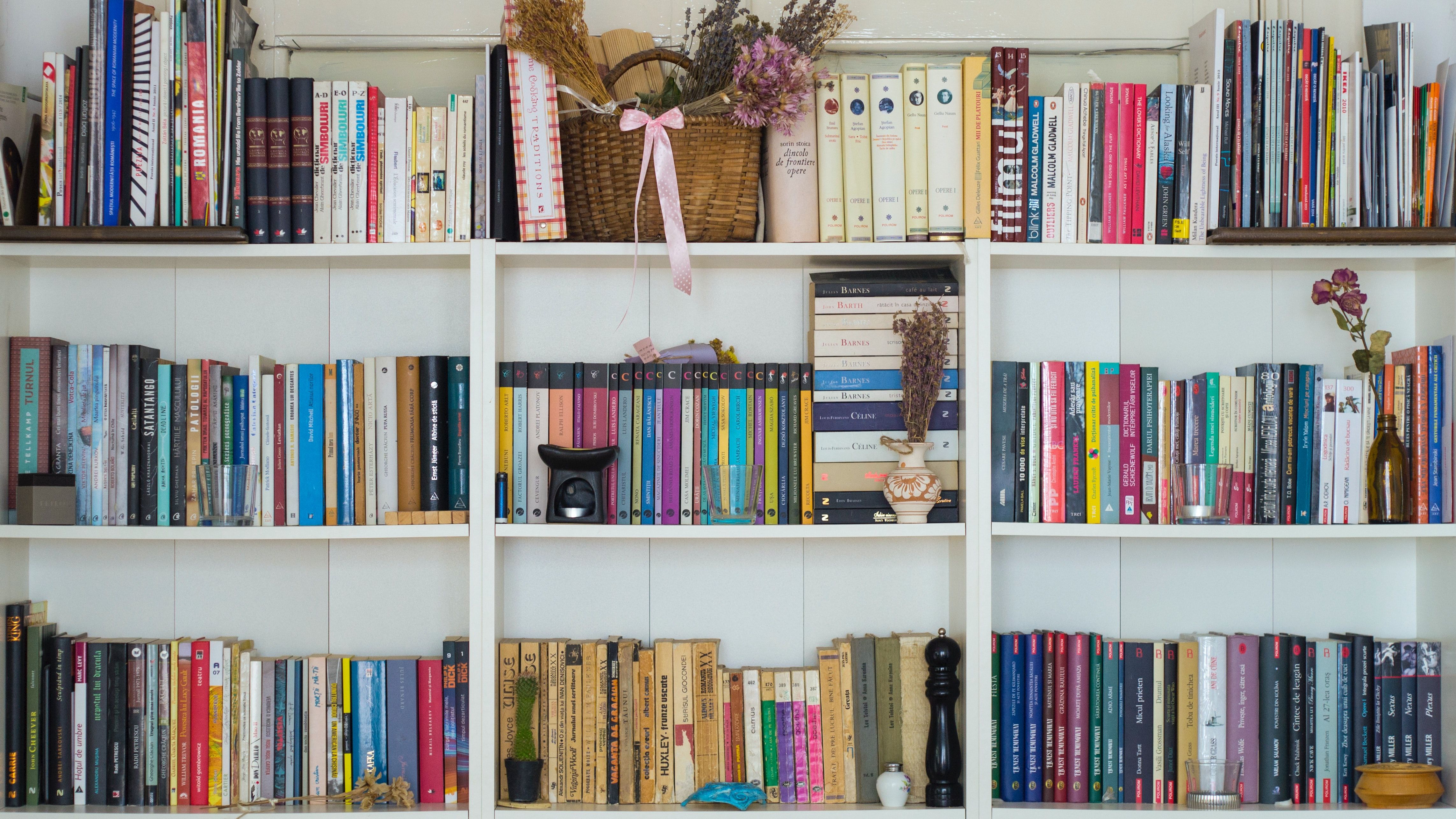 Photo by Mihai Surdu on Unsplash.jpg