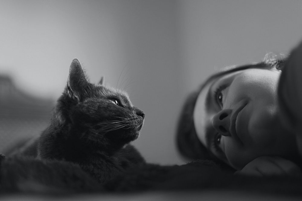 Vaccinating your pets, Pet vaccination, Veterinarian, Junk Mail, Photo by Silvana Carlos on Unsplash.jpg