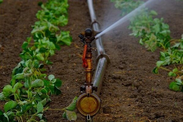 Water-saving-tips-Irrigation-Image-Credit-Holger-Schué-from-Pixabay-AgriMag.jpg