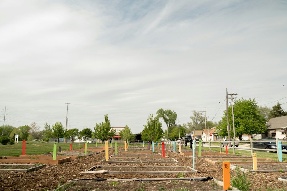 community garden, plants, planters, gardening tools on Junk Mail, Photo by Tim Umphreys on Unsplash.jpg