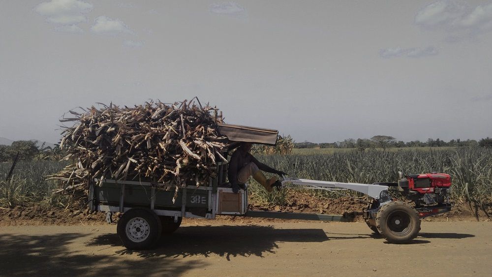 environmental impact of agricultural trailer usage, agricultural trailer usage, agricultural trailer, trailers for sale on Truck & Trailer, Photo by Aku Angela on Pexels.jpg