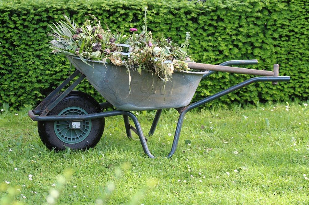 gardening tools, gardening equipment, gardening and tools on Junk Mail, Photo by Hans Middendorp on Pexels.jpg