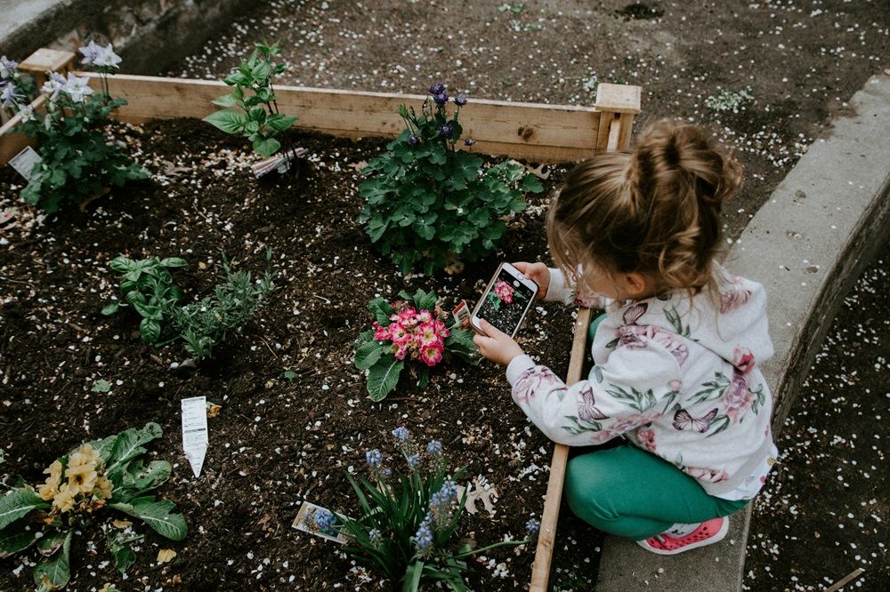 low-maintenance garden, plants and techniques, gardening and tools, Photo by Kelly Sikkema on Unsplash.jpg