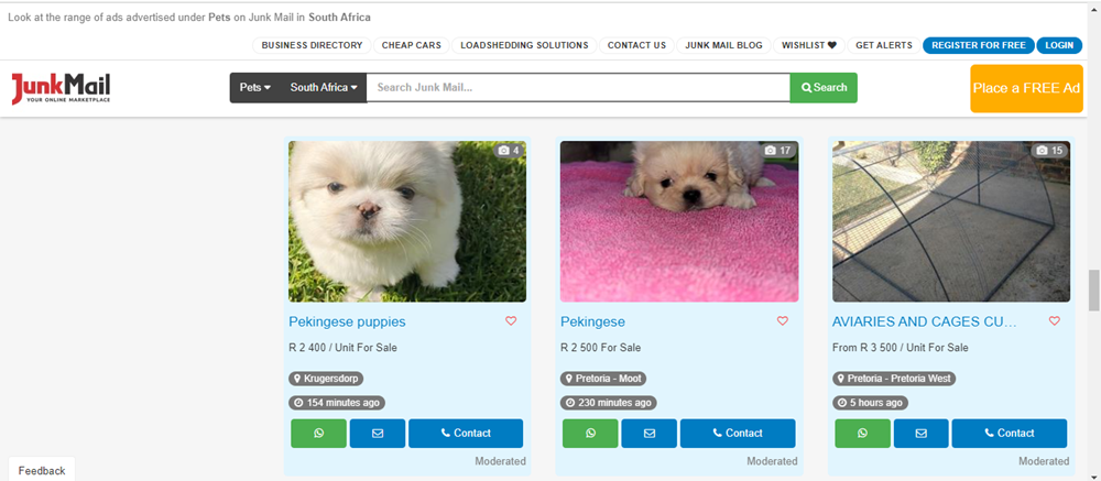 pets category on Junk Mail, adopting pets for sale on Junk Mail, pets category, adopting pets, pets for sale, adopt pets .png