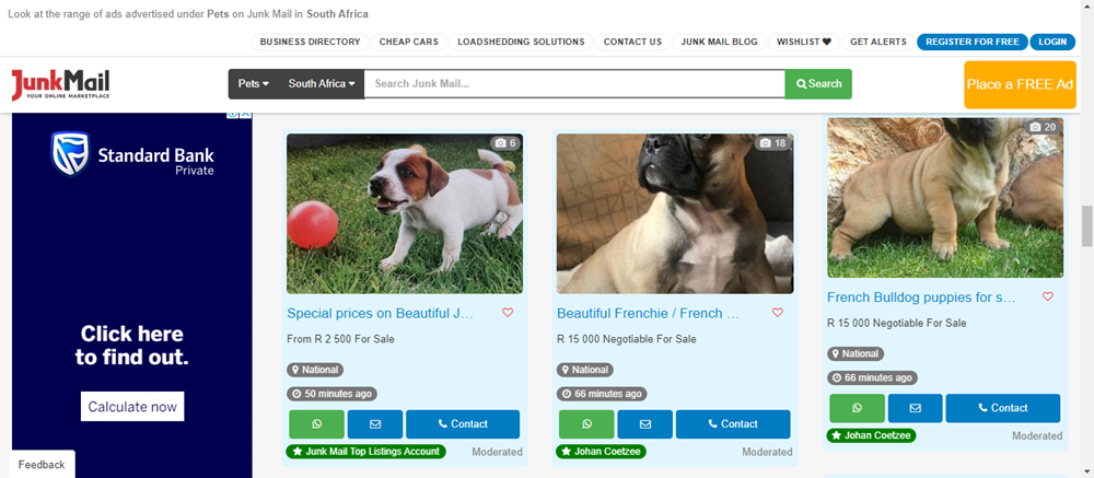 pets category on Junk Mail, adopting pets for sale on Junk Mail, pets category, adopting pets, pets for sale, buy pets.png