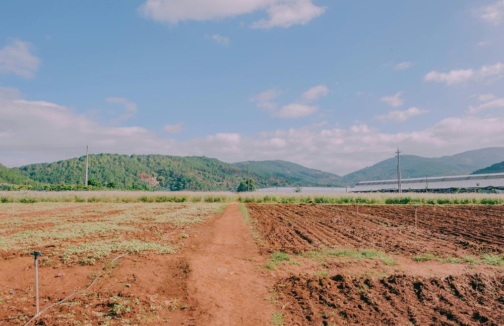 soil-health indicators to assess soil fertility, soil-health indicators, soil fertility, agricultural equipment on AgriMag, Photo by Min An on Pexels.jpg