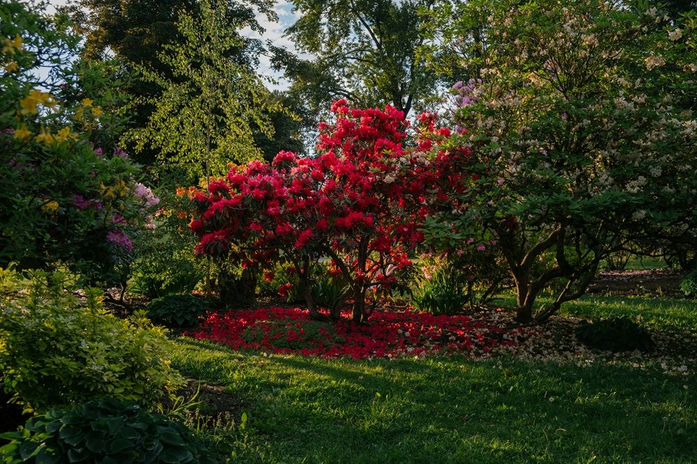 spring garden in winter, winter gardening tips, gardening tools and plants on Junk Mail, Photo by Nicholas Bullett on Unsplash.jpg