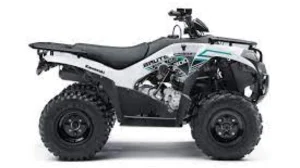 New  2025 Kawasaki Brute Force