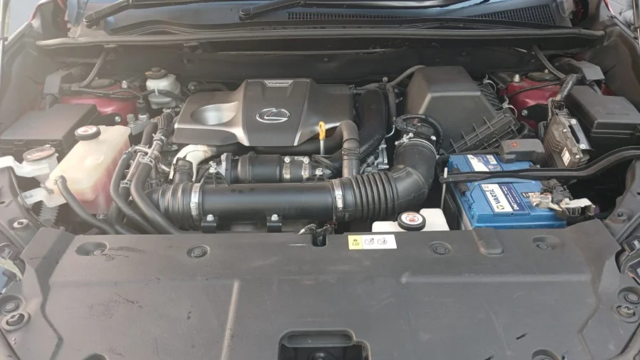 Used 2019 Lexus NX 300 EX - TJ Auto Car Sales Used 2019 Lexus NX 300 EX - TJ Auto Car Sales